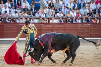 Damián Castaño durante la 16ª corrida de la Feria de San Isidro.