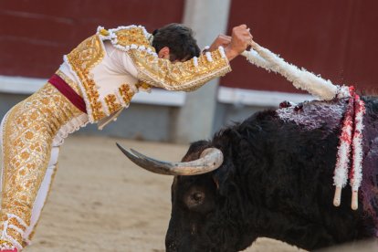 Un par de Ismael Martín
