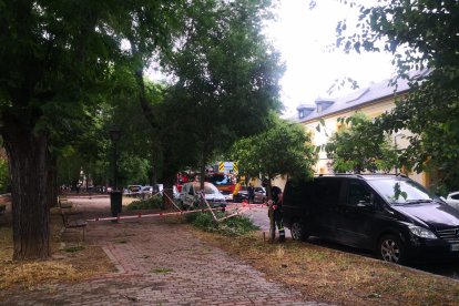 Los bomberos al rescate en El Pardo