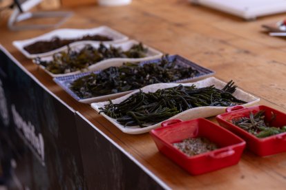 Gil Fernandes (Fortaleza do Guincho*) apuesta por las algas como alternativa natural a la sal.