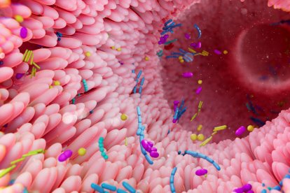 Imagen ilustrativa de la microbiota intestinal adherida a las vellosidades del intestino, donde millones de bacterias colaboran en el equilibrio digestivo y la salud inmunológica.
