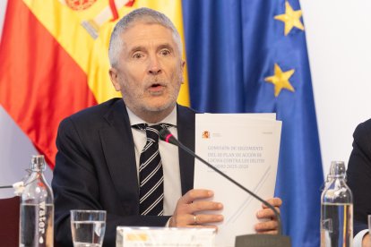 El ministro de Interior, Fernando Grande-Marlaska