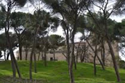 El Forestal.