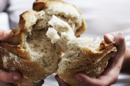 Una fermentación lenta transforma el pan en un alimento fácil de digerir y sin picos de glucosa innecesarios.