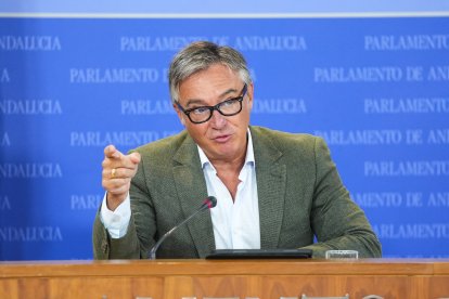 El portavoz del Grupo Parlamentario Vox, Manuel Gavira.