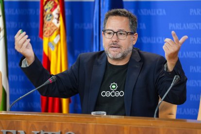 El portavoz del Grupo Mixto-Adelante Andalucía, José Ignacio García.