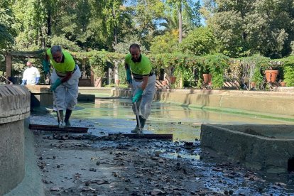 El Ayuntamiento realiza trabajos de limpieza y mantenimiento de los estanques del Parque de María Luisa.