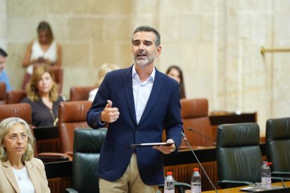 El consejero de Sostenibilidad, Medio Ambiente y Economía Azul de la Junta de Andalucía, Ramón Fernández-Pacheco.