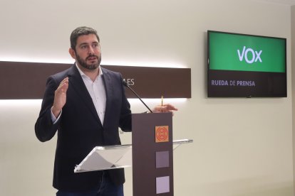 El portavoz de Vox en las Cortes de Aragón, Alejandro Nolasco.