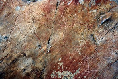 Grabados paleolíticos de Siega Verde, un museo al aire libre que narra la vida de nuestros antepasados.