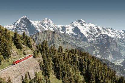 Schynige Platte, un paisaje alpino donde naturaleza y tradición se funden en equilibrio perfecto.