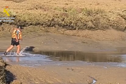 Intento de huida de los narcos.