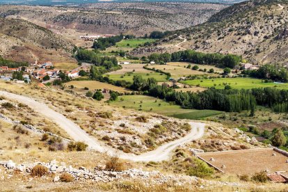 En la Sierra de Albarracín, en Teruel, los pinares esconden algunas de las setas más apreciadas del país.