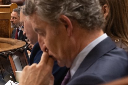 El presidente del Partido Popular Alberto Núñez Feijóo, y el líder de Vox, Santiago Abascal (de fondo), en el Congreso.