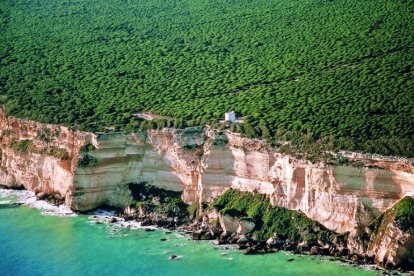 Acantilados de Barbate.