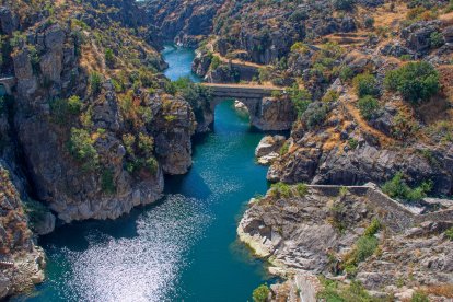 El camino que parece hecho para el otoño