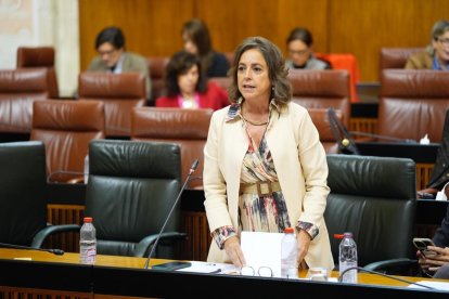 La consejera de Sostenibilidad y Medio Ambiente de la Junta de Andalucía, Catalina García.