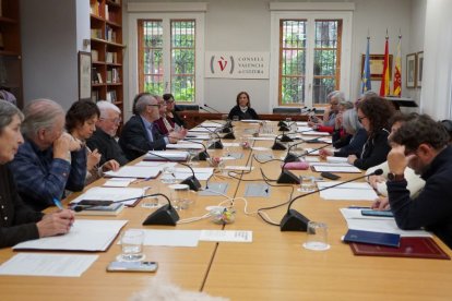 Actuals components del CVC durant un ple del novembre passat