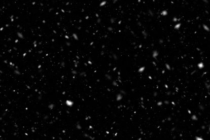 Nieve