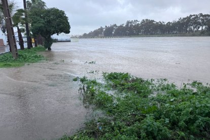 Crecida del río a su paso por San Roque, en la provincia de Cádiz, debido a las lluvias provocadas por la borrasca Francis