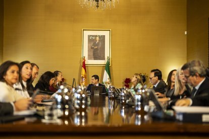 Reunión consejo de Gobierno andaluz.