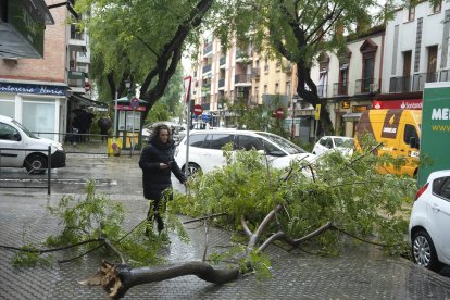 Imagen de árboles caídos en la calle San Jacinto de la capital sevillana.
