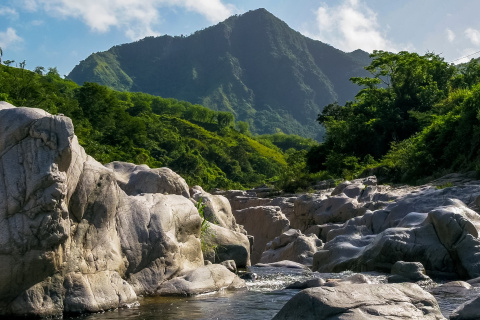 Cañón Blanco, naturaleza salvaje en el corazón de Puerto Rico