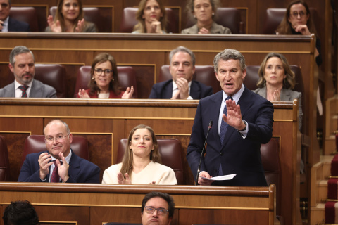 El presidente del PP, Alberto Núñez Feijóo interviene en el Congreso de los Diputados.