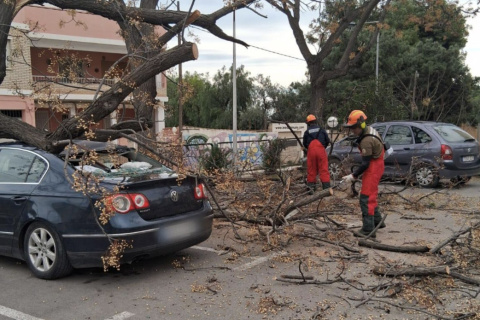 Bomberos de Valencia actúan por el temporal de viento