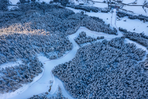 Vista aérea de La Gran Risa serpenteando entre pinos.