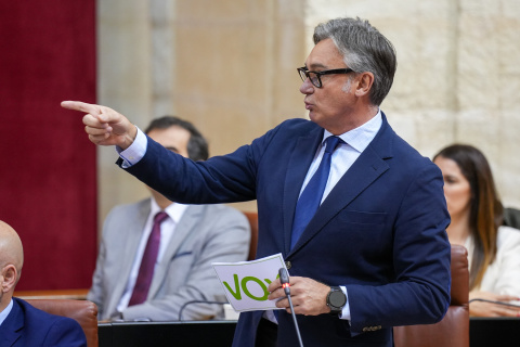 El portavoz del grupo parlamentario Vox en Andalucía, Manuel Gavira.