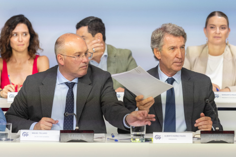 Alberto Núñez Fiejóo, acompañado por el secretario general del PP, Miguel Tellado, preside la reunión de la Junta Nacional del Partido Popular.