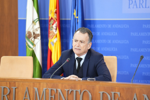 El portavoz adjunto del Grupo Parlamentario Popular, Pablo Venzal.