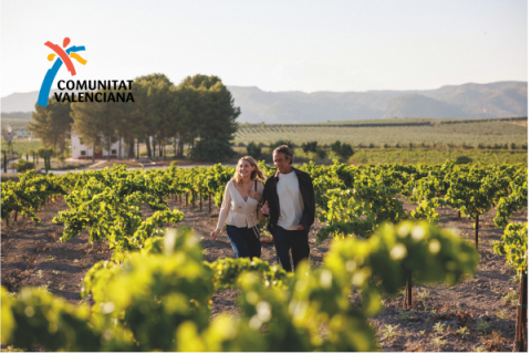 Viñedos de la plana Utiel-Requena