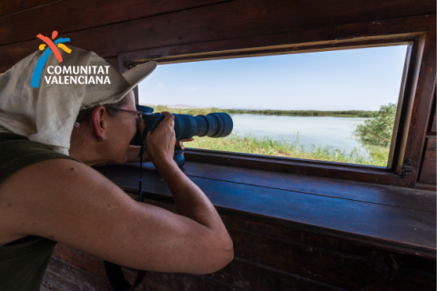 Birdwatching