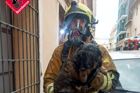 Los efectivos también rescataron a las mascotas.