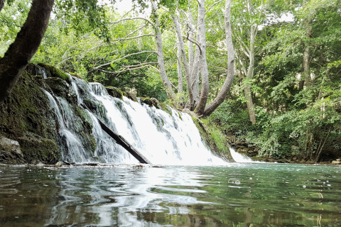 Salto junto a Valdelateja entre encinas y quejigos del cañón.