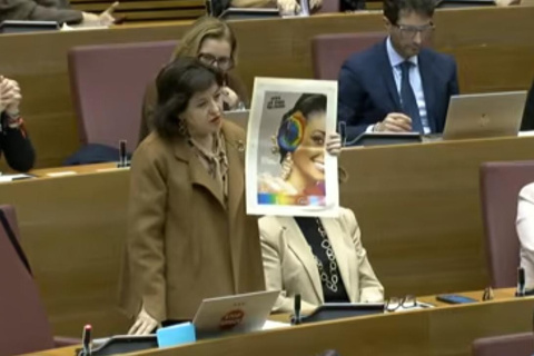 La diputada de Vox con el cartel de la campaña de Fallas de la Generalitat