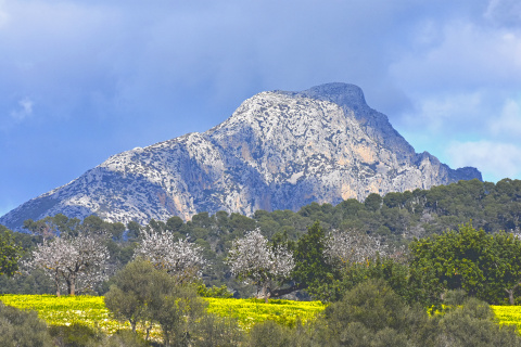 Galatzó, leyenda y silencio en la sierra mallorquina.