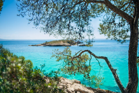 Cala Comtessa, estética mediterránea pura.