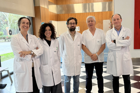 Dra. Carmen Martínez Lapiedra, Dr. Fernando Carbonell Castell, Dr. Arribas, Dra. Elena Oliete, Dr. Melián
