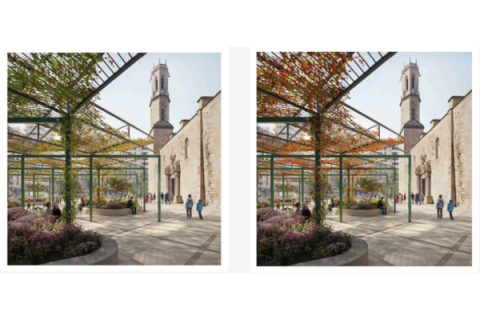 Plaza de San Agustín tras la reurbanización