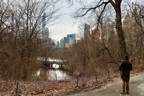 Central Park, Un respiro imprescindible en cualquier época del año.