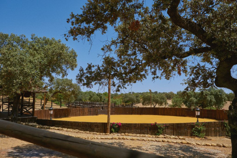Plaza de toros en la finca de Roca Rey.