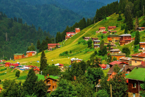Ayder Yaylasi