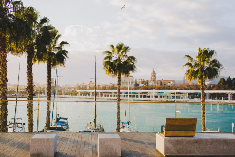 Vista de la Catedral desde el puerto de Málaga.
