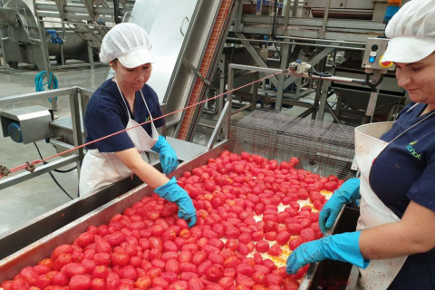 Agroindustria extremadura