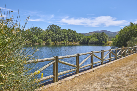 Laguna Pradena
