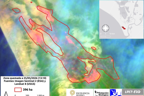 Imagen publicada por la Estación Biológica de Doñana sobre la zona quemada, según la imagen de Sentinel-2 este pasado lunes.