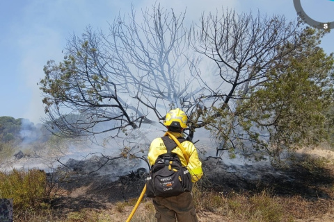 Bombero forestal trabajando para extinguir el incendio en Doñana.